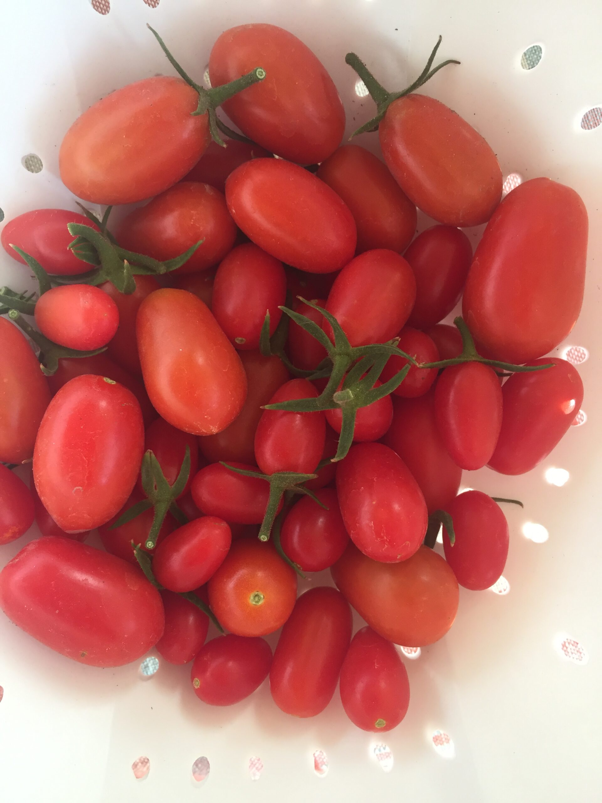 It's time to plant those tomatoes! Utah Dinner Project